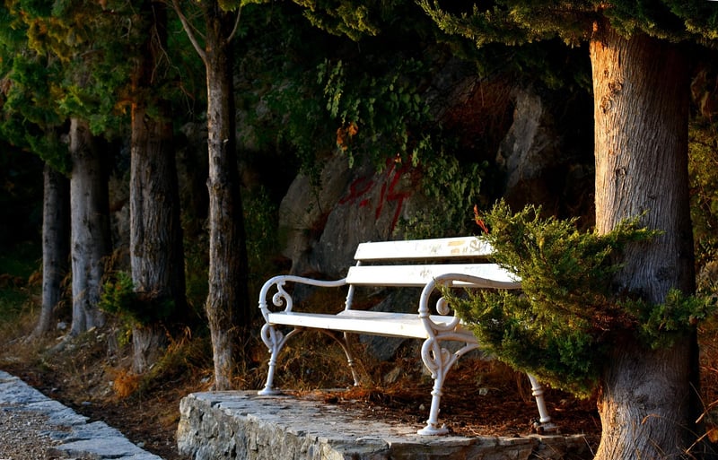 Enchanted Arbor